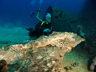 sunken ship with under the sea