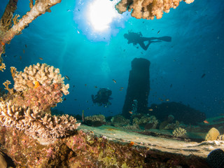 sunken ship with under the sea