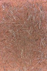Wall of house made of clay and grass