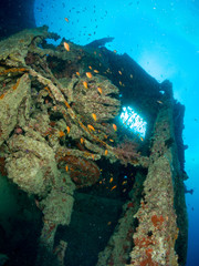Fototapeta na wymiar sunken ship with under the sea