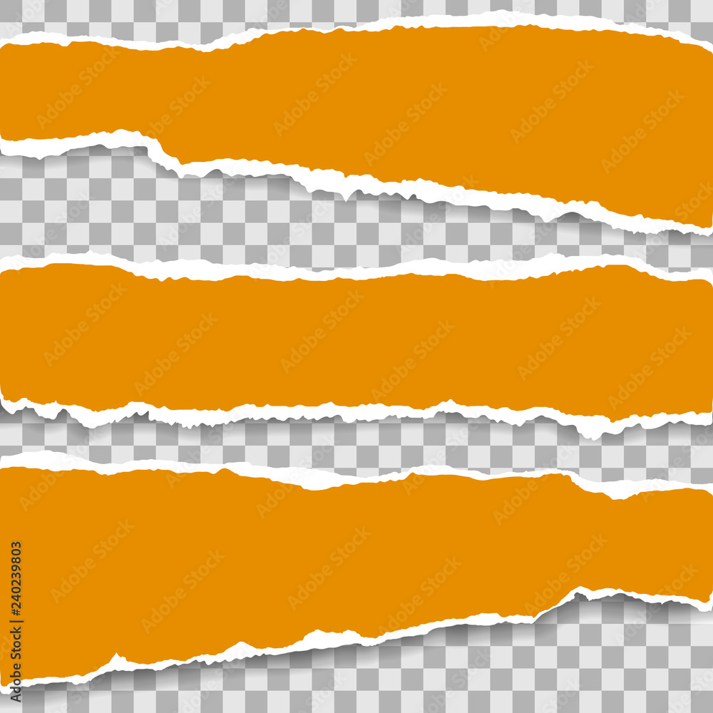 Poster ripped blank horizontal note paper strips for text or message stuck on transparent background.