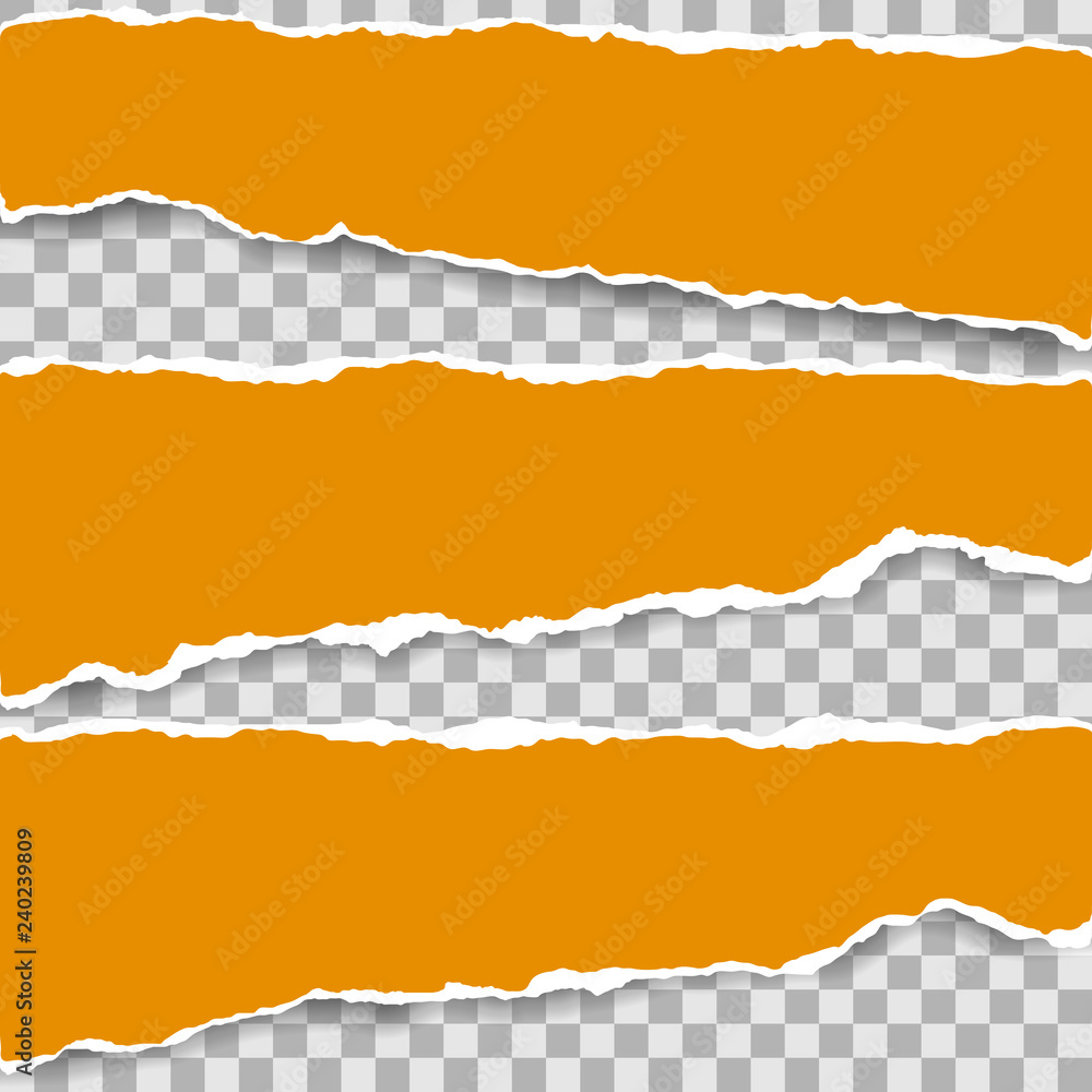 Poster ripped blank horizontal note paper strips for text or message stuck on transparent background.