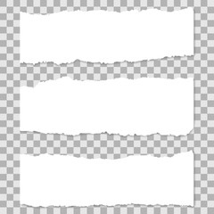 Ripped blank horizontal note paper strips for text or message stuck on transparent background.
