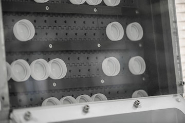 plastic covers on the conveyor, close-up. bottle caps at the factory