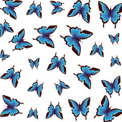beautiful butterflies pattern background