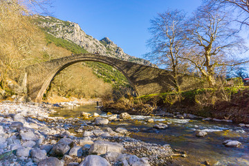 Fototapeta na wymiar Stone arched bridge Vissariona in Pyli village in Trikala, Greece