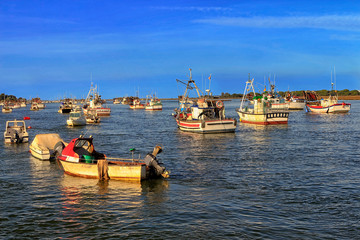 Obraz premium Fishing boats moored in the estuary