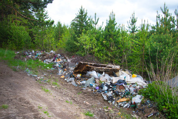 Pollution of the forest by household rubbish. A pile of garbage in the forest. The global problem of pollution.
