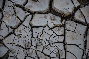 cracked earth texture