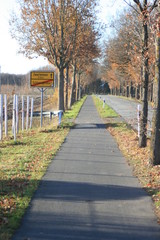 Fahrradweg nach Zwartemeer