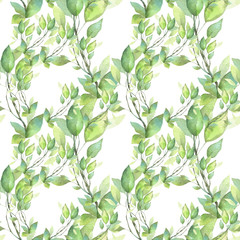 Seamless pattern. Hand painted watercolor illustration. Green branches.