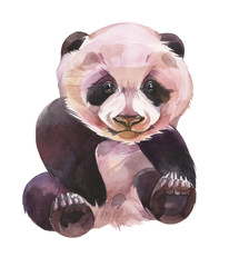 Hand painted watercolor illustration. Panda on white background.