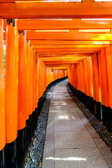 torii kyoto