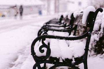 benches covered in snow