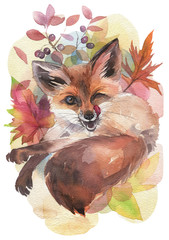 Fototapeta premium Cute winking fox, hand painted watercolor illustration on white background.