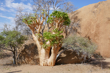 2018-10 Namibia