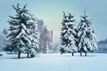 Winter in the city. Kyiv. Ukraine.