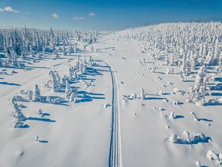 Aerial view of white winter forest with snow covered trees and rural road in Finland