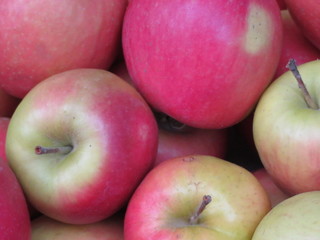 Delicious apples very appealing with a magnificent color