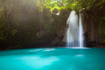 Fototapeta na wymiar The Kawasan Falls, Cebu, Philippines