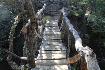Old  wooden  bridge