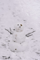 snowman in the snow