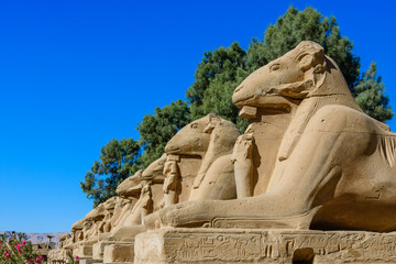 Avenue of the ram-headed Sphinxes in a Karnak Temple. Luxor, Egypt
