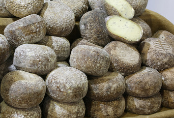 many forms of truffle flavored caciotta