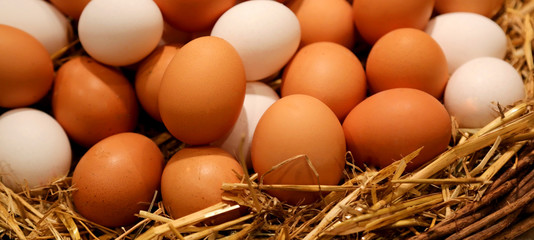 basket with chicken eggs