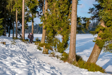 Nationalpark Harz im Winter Oderteich