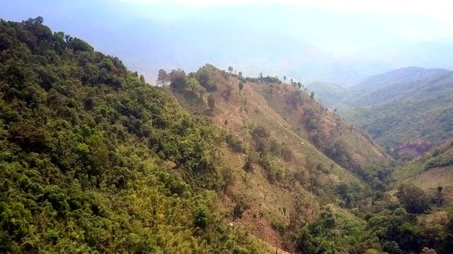 pictorial aerial motion from wild forestry canyon bottom to bare hill top against mountains in mist