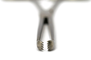 Allis tissue forceps on the white background