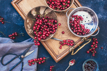 Red currant summer berry, top view flat lay