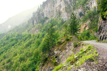 A winding road along a rocky canyon with vegetation.