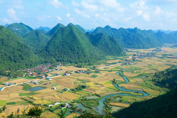 Rice field in harvest time in Bac Son valley, Lang Son, Vietnam 