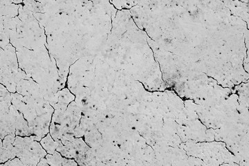 Asphalt pavement sign marking crosswalk white paint wet old surface texture detail