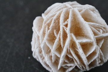 Sandrose