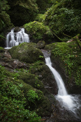 Wasserfall im Schwarzwald