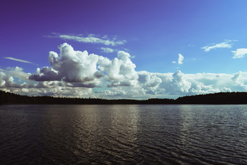 Beautiful forest lake