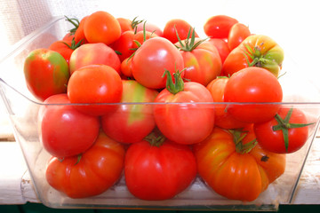 red and ripe tomatoes