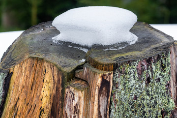 Nationalpark Harz im Winter Oderteich