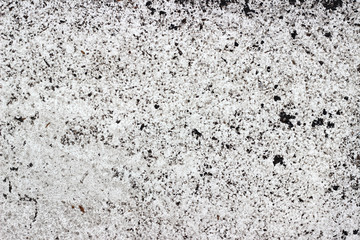 Asphalt pavement sign marking crosswalk white paint wet old surface texture detail