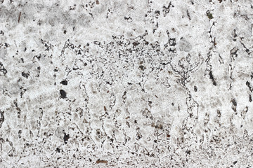 Asphalt pavement sign marking crosswalk white paint wet old surface texture detail