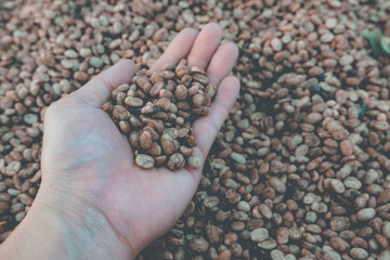 Coffee beans