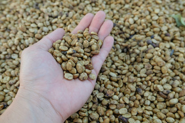 Coffee beans