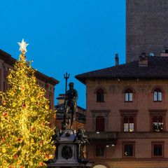 Piazza Maggiore, Bologna, Emilia Romagna, Italy. Christmas tree © ronnybas