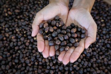 Coffee beans