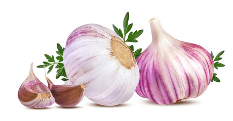 garlic isolated on white background