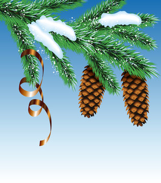  fir cones on a branch with serpentine on a blue background