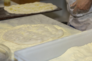 Processing of the Pizza Dough by the Pizza Maker